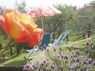 Maison de vacances /en/au Lucca (Lucca)ou appartement ou maison de vacances