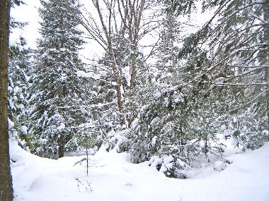 Chalet �/en/au Magog (Quebec)ou appartement ou maison de vacances