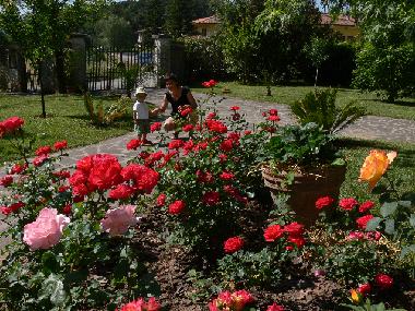 Chambre avec petit d�jeuner �/en/au Lucca (Lucca)ou appartement ou maison de vacances