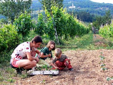 Chambre avec petit d�jeuner �/en/au Lucca (Lucca)ou appartement ou maison de vacances