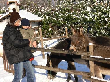 Chambre avec petit d�jeuner �/en/au Lucca (Lucca)ou appartement ou maison de vacances