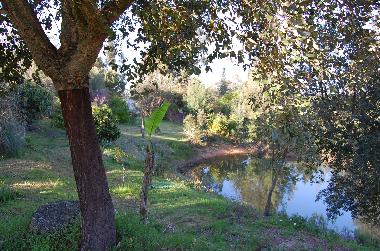 Maison de vacances /en/au So Teotonio (Alentejo Litoral)ou appartement ou maison de vacances