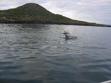 Maison de vacances �/en/au Caherdaniel (Kerry)ou appartement ou maison de vacances