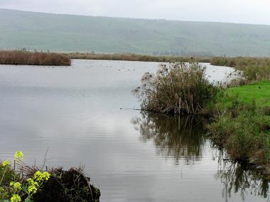 Maison de vacances �/en/au Yesod Hama`ala - upper Galilee (HaZafon (Northern))ou appartement ou maison de vacances