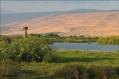 Maison de vacances �/en/au Yesod Hama`ala - upper Galilee (HaZafon (Northern))ou appartement ou maison de vacances