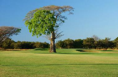 Maison de vacances �/en/au Playa Langosta (Guanacaste)ou appartement ou maison de vacances