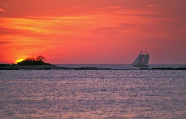 Maison de vacances �/en/au Playa Langosta (Guanacaste)ou appartement ou maison de vacances