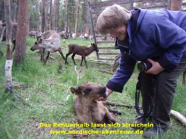 Maison de vacances /en/au Pajala (Norrbotten)ou appartement ou maison de vacances