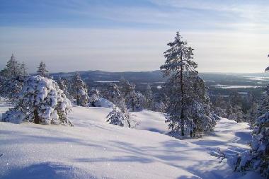 Maison de vacances /en/au Pajala (Norrbotten)ou appartement ou maison de vacances