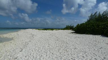 Appartement de vacances /en/au Pereybere (Pereybere)ou appartement ou maison de vacances