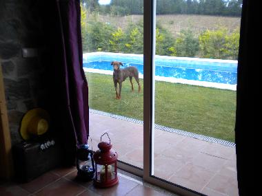 Chambre avec petit djeuner /en/au sao martinho de anta (Norte)ou appartement ou maison de vacances