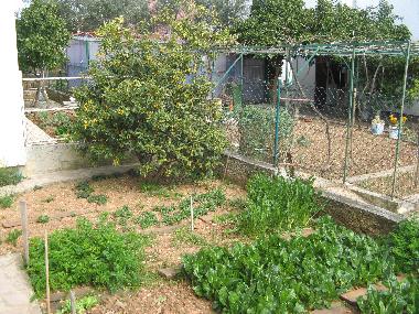 Appartement de vacances /en/au Trogir (Splitsko-Dalmatinska)ou appartement ou maison de vacances