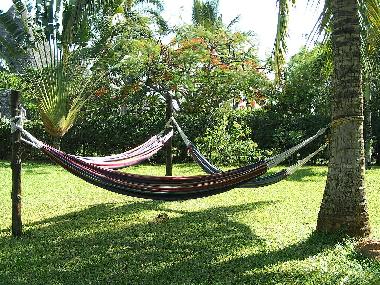Maison de vacances �/en/au Diani (Coast)ou appartement ou maison de vacances