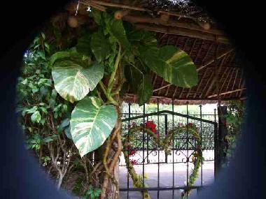 Maison de vacances �/en/au Diani (Coast)ou appartement ou maison de vacances