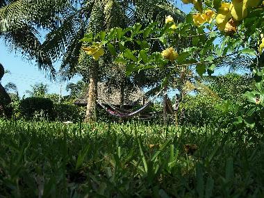 Maison de vacances �/en/au Diani Beach (Coast)ou appartement ou maison de vacances