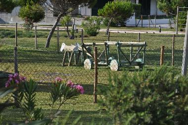 Appartement de vacances �/en/au Troia (Alentejo Litoral)ou appartement ou maison de vacances