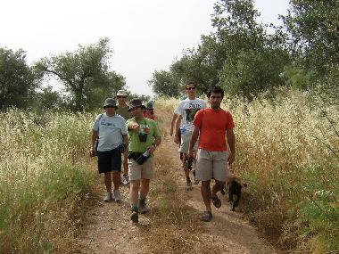 Appartement de vacances �/en/au Troia (Alentejo Litoral)ou appartement ou maison de vacances