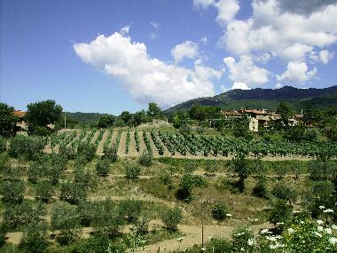 Maison de vacances /en/au Loro Ciuffenna (Arezzo)ou appartement ou maison de vacances