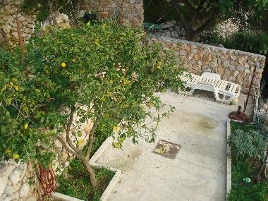 Maison de vacances �/en/au SLANO (Dubrovacko-Neretvanska)ou appartement ou maison de vacances