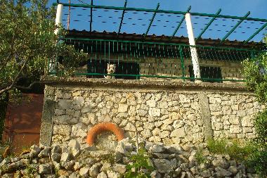 Maison de vacances �/en/au SLANO (Dubrovacko-Neretvanska)ou appartement ou maison de vacances