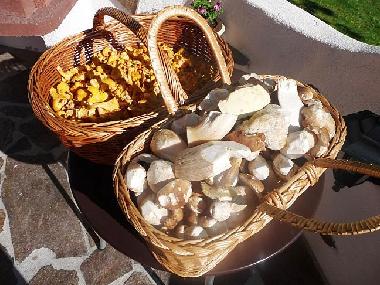 Appartement de vacances �/en/au G�riach bei Mariapfarr (Lungau)ou appartement ou maison de vacances