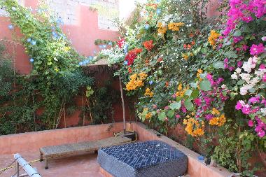 Maison de vacances �/en/au taroudannt (Taroudannt)ou appartement ou maison de vacances