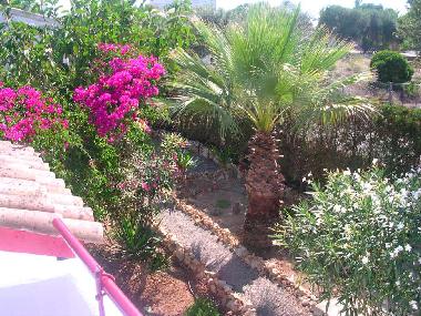 Maison de vacances �/en/au Playa Romantica (Mallorca)ou appartement ou maison de vacances