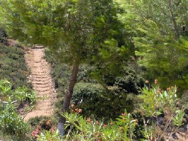 Maison de vacances /en/au scholi (Kyklades)ou appartement ou maison de vacances