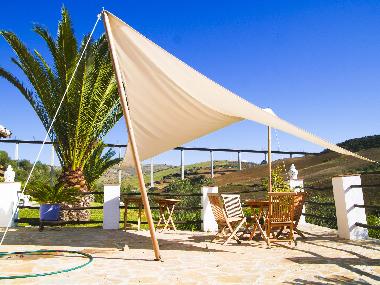 terrasse piscine