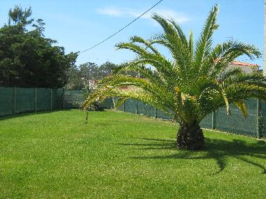 Maison de vacances �/en/au Salir do Porto (Oeste)ou appartement ou maison de vacances