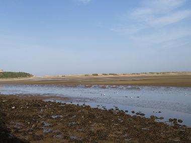 Appartement de vacances �/en/au V.N.Gaia (Norte)ou appartement ou maison de vacances