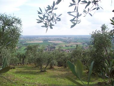 Maison de vacances /en/au Rigoli (Pisa)ou appartement ou maison de vacances