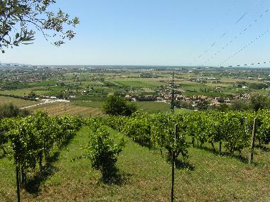 Maison de vacances /en/au Rigoli (Pisa)ou appartement ou maison de vacances