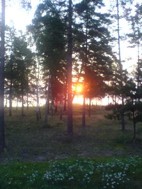 Maison de vacances �/en/au Timmernabben (Smaland)ou appartement ou maison de vacances