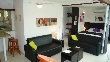 Appartement de vacances �/en/au Rio de Janeiro (Rio de Janeiro)ou appartement ou maison de vacances