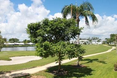 Appartement de vacances �/en/au West Palm Beach (Florida)ou appartement ou maison de vacances