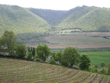 Maison de vacances �/en/au Piegaro (Firenze)ou appartement ou maison de vacances