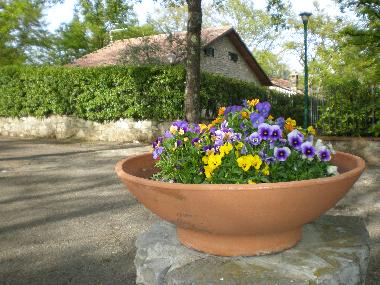 Maison de vacances �/en/au Piegaro (Firenze)ou appartement ou maison de vacances