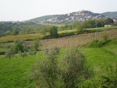 Maison de vacances �/en/au Piegaro (Firenze)ou appartement ou maison de vacances