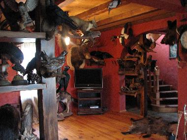 Appartement de vacances �/en/au Antinciems (Lettland)ou appartement ou maison de vacances