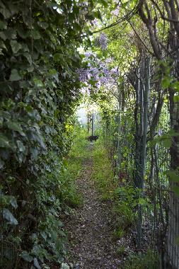 Appartement de vacances �/en/au Montreuil (Seine-Saint-Denis)ou appartement ou maison de vacances