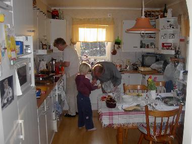 Villa /en/au OLSFORS, BOLLEBYGD (Vstergtland)ou appartement ou maison de vacances