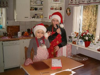 Villa /en/au OLSFORS, BOLLEBYGD (Vstergtland)ou appartement ou maison de vacances