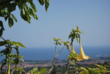 Maison de vacances /en/au Mascali (Catania)ou appartement ou maison de vacances