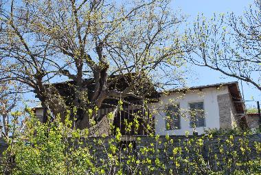 Maison de vacances /en/au Kazaviti (Megalos Prinos) (Kavala)ou appartement ou maison de vacances