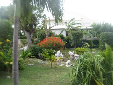 jardin 1