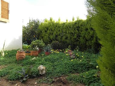 Appartement de vacances �/en/au RETHYMNON (Rethymni)ou appartement ou maison de vacances