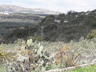 Appartement de vacances �/en/au RETHYMNON (Rethymni)ou appartement ou maison de vacances