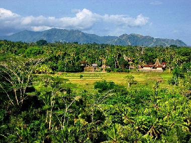 Villa �/en/au Ubud (Bali)ou appartement ou maison de vacances