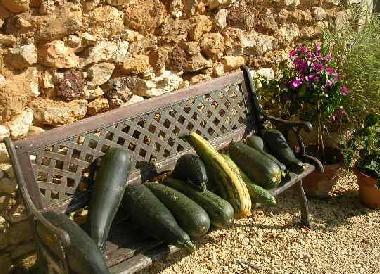 Maison de vacances /en/au Rouffignac St Cernin (Dordogne)ou appartement ou maison de vacances